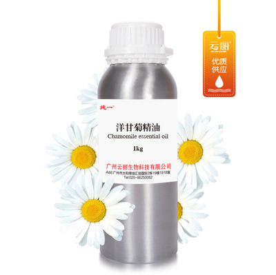 罗马洋甘菊精油